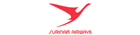 airline logotype